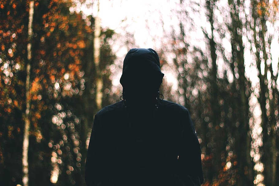 rear view, one person, forest, tree, real people, leisure activity HD wallpaper