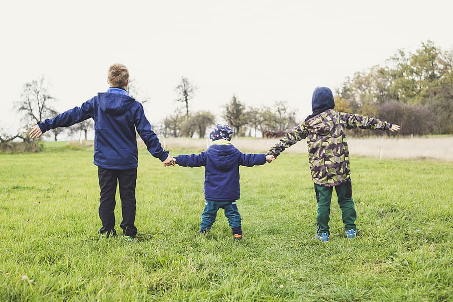 three children holding hands standing on grasses, human, person