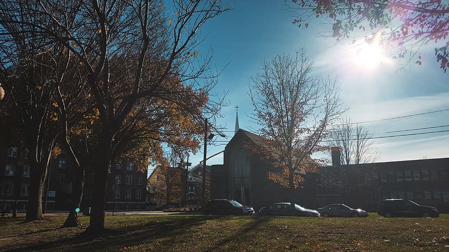 united states, hackensack, tree, architecture, building exterior HD wallpaper