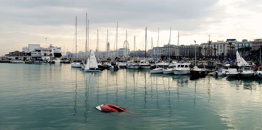 White Power Boat and Yacht Parked on Body of Water, bay, boats HD wallpaper