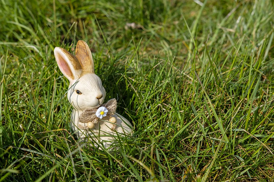 Easter bunnies 1080P, 2K, 4K, 5K HD wallpapers free download.