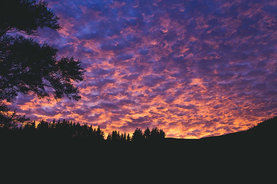 sunset, dark, clouds, sky, cloudy, trees, plant, silhouette HD wallpaper