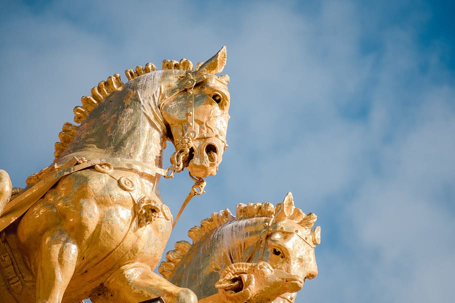 two gold horse statues, sculpture, representation, art and craft HD wallpaper