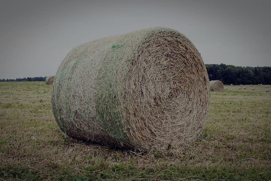 canada, cornwall, country, grass, hay bale, sky, farm, field HD wallpaper