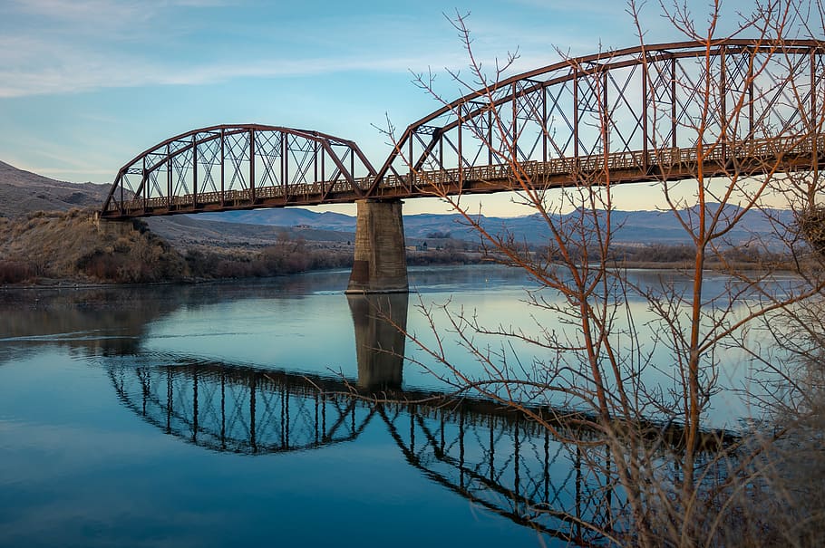 Concrete Bridge Under Blue Sky, architecture, bare tree, color HD wallpaper