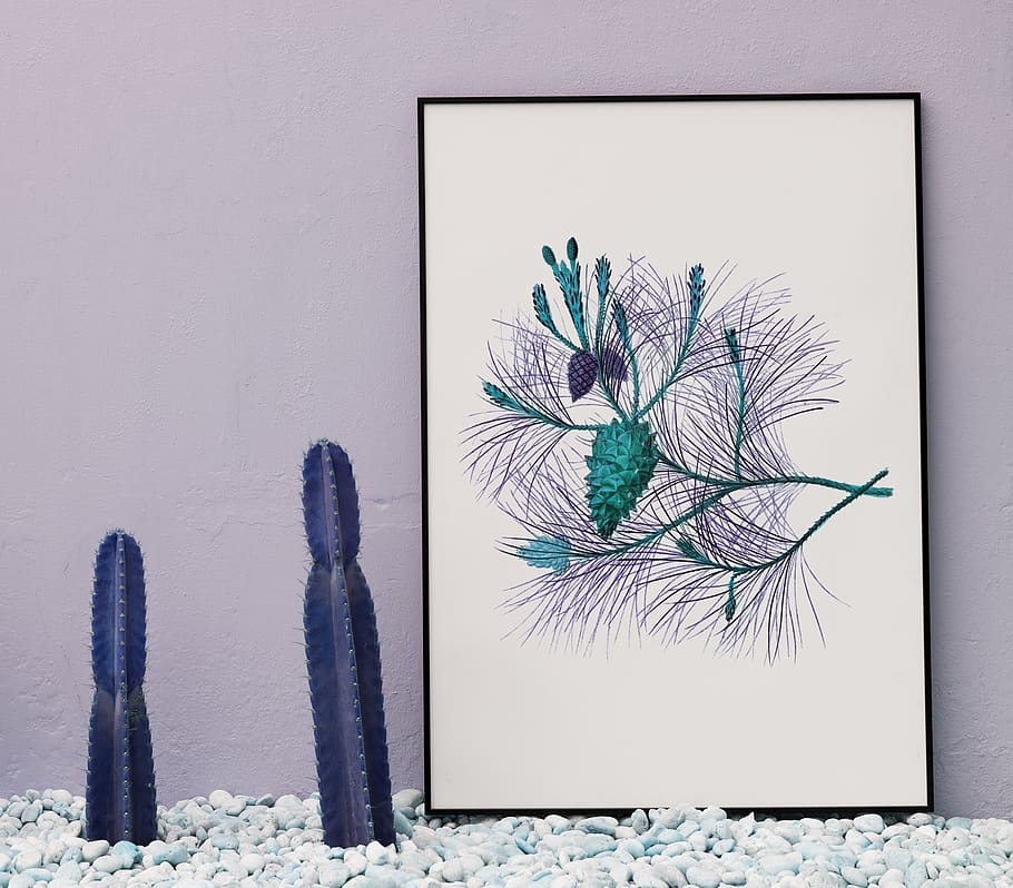 nature, blank, board, cactus, copy space, decor, design space HD wallpaper