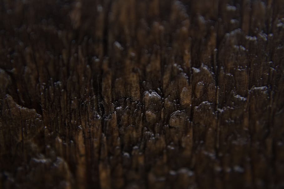 wood, texture, rain, macro, wood - material, brown, no people HD wallpaper