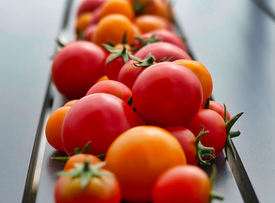 tomatoes, red, vegetables, food, healthy, ripe, bio, vitamins HD wallpaper