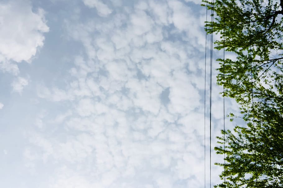 sky, blue, clouds, tree, power lines, linear, summer, spring HD wallpaper