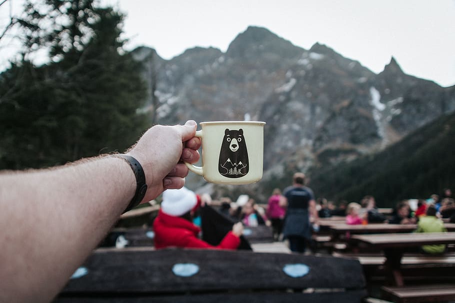 person holding white mug, cup, hand, man, travel, tree, bear HD wallpaper