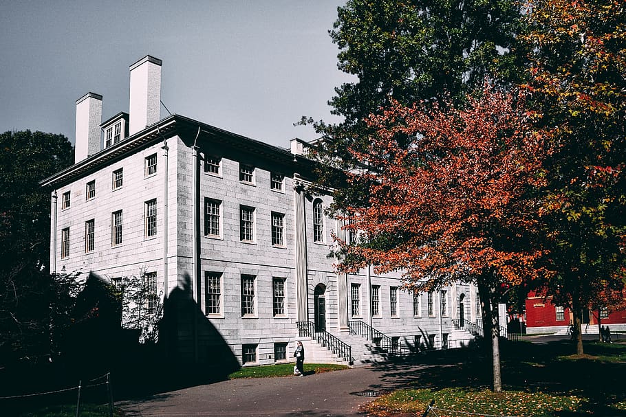 Gray 4-storey Building, 4k wallpaper, architectural, architectural design HD wallpaper