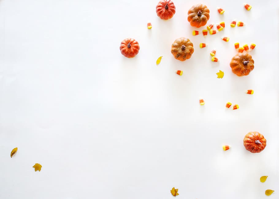 pumpkins on white surface, food and drink, studio shot, large group of objects HD wallpaper