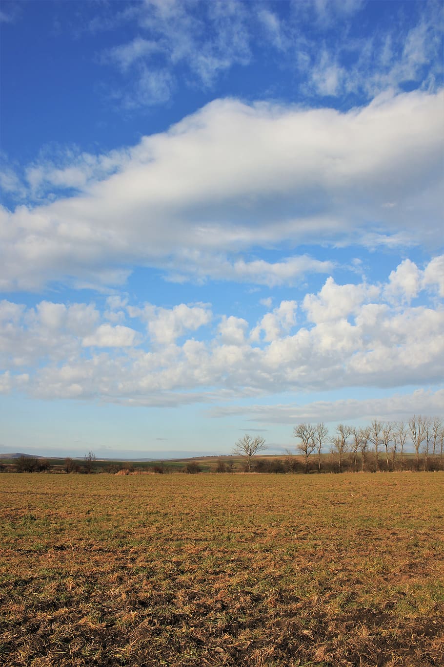 clouds, windy, cloud - sky, environment, landscape, tranquil scene HD wallpaper