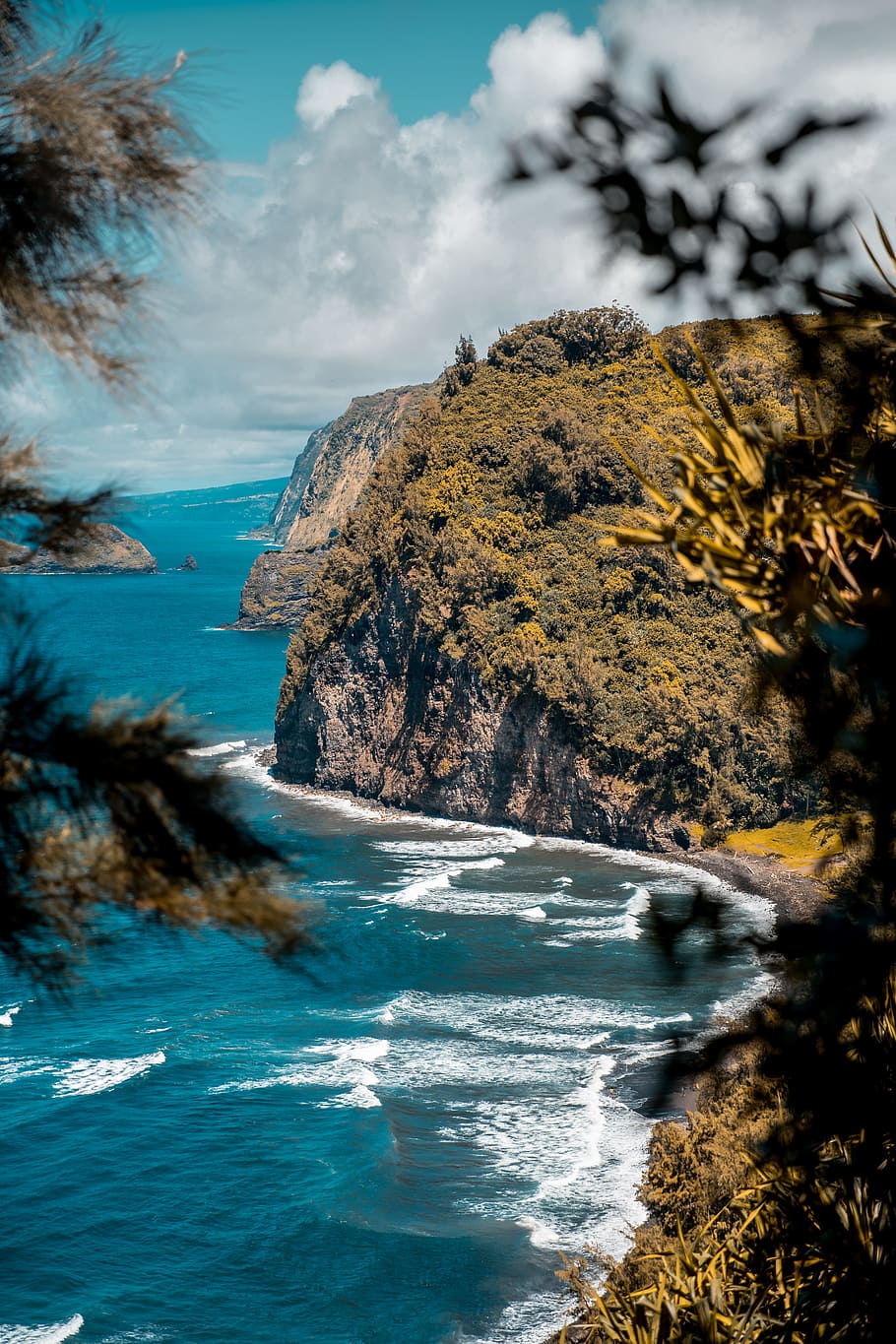 HD wallpaper: A hike in Hawaii, ocean, cliff, islands of hawaii, kona  brewing | Wallpaper Flare