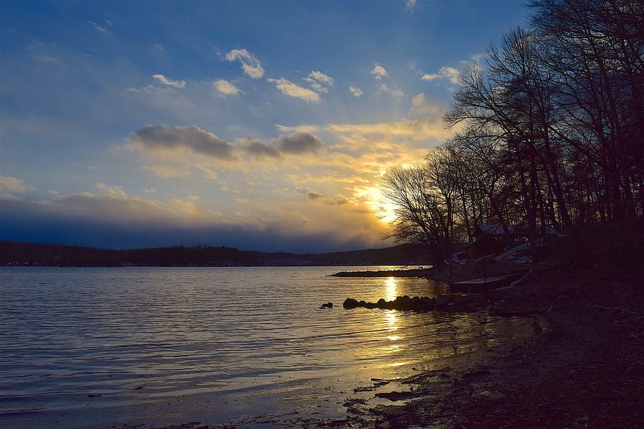 Shore Surrounded by Trees during Sunset, beach, blue, calm, cloud HD wallpaper