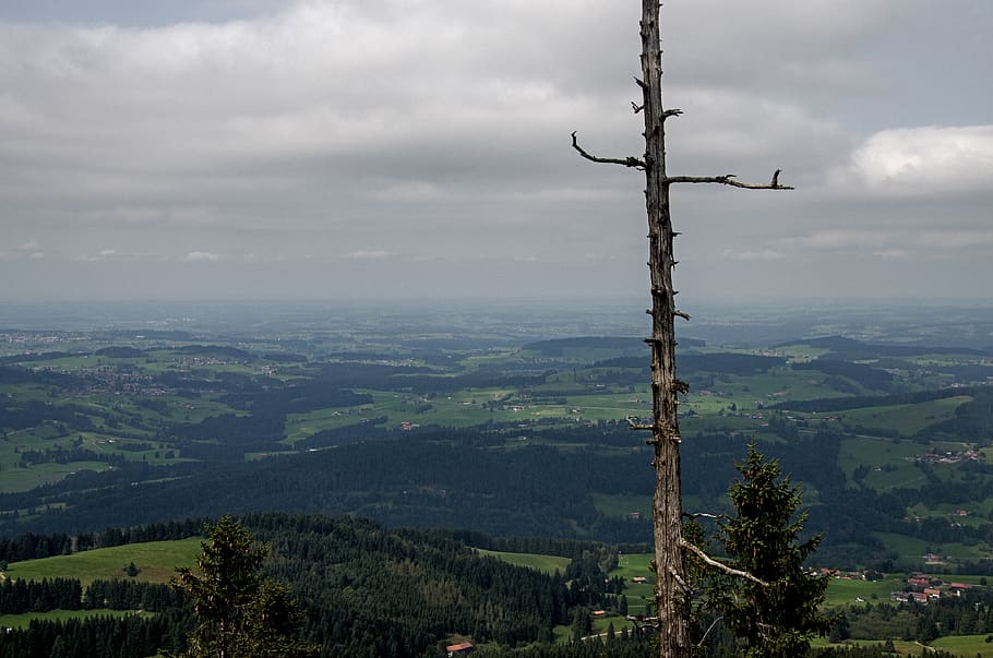 tree, old, landscape, panorama, allgäu, nagelfluhkette, smoke HD wallpaper