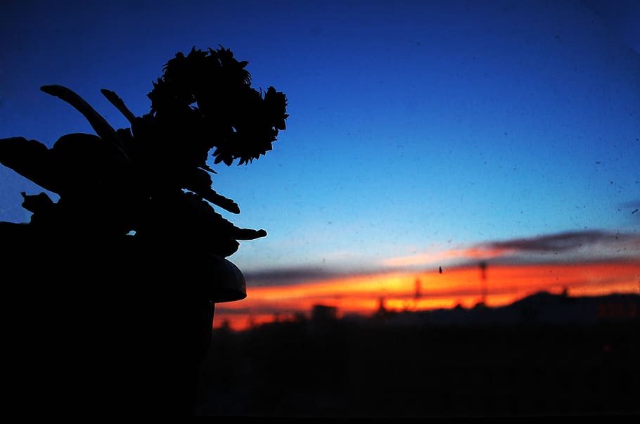 georgia, batumi, silhouette, sky, sunset, nature, orange color HD wallpaper