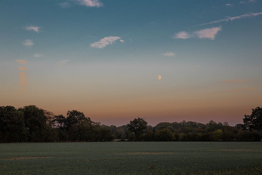 Green Grass Field, cropland, dawn, daylight, evening, farm, landscape HD wallpaper