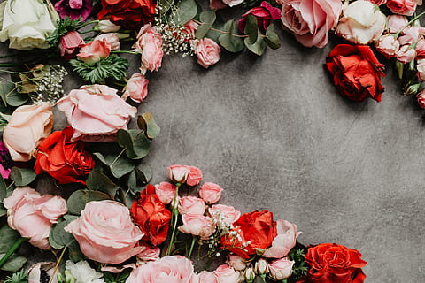 Flowers flat lay, flatlay, roses, valentines, red, pink, lovely HD wallpaper