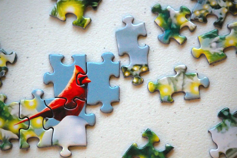 puzzle, cardinal, bird, winter, red, snow, tree, christmas HD wallpaper