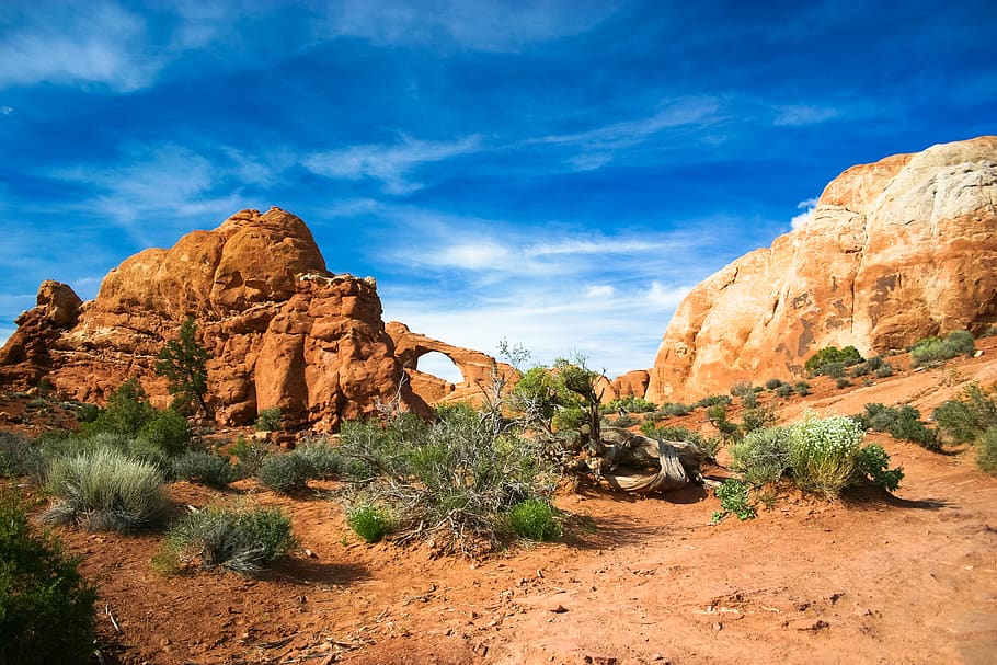 canyon park during daytime, rock, rock - object, rock formation HD wallpaper