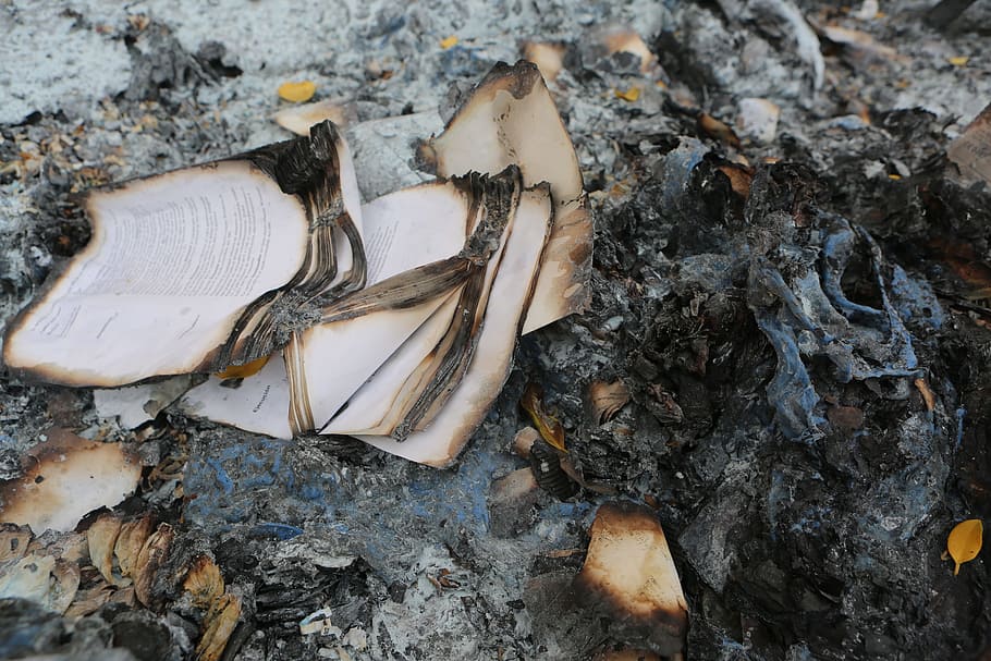 burning, book, fire, ash, notes, leaf, burned, high angle view HD wallpaper