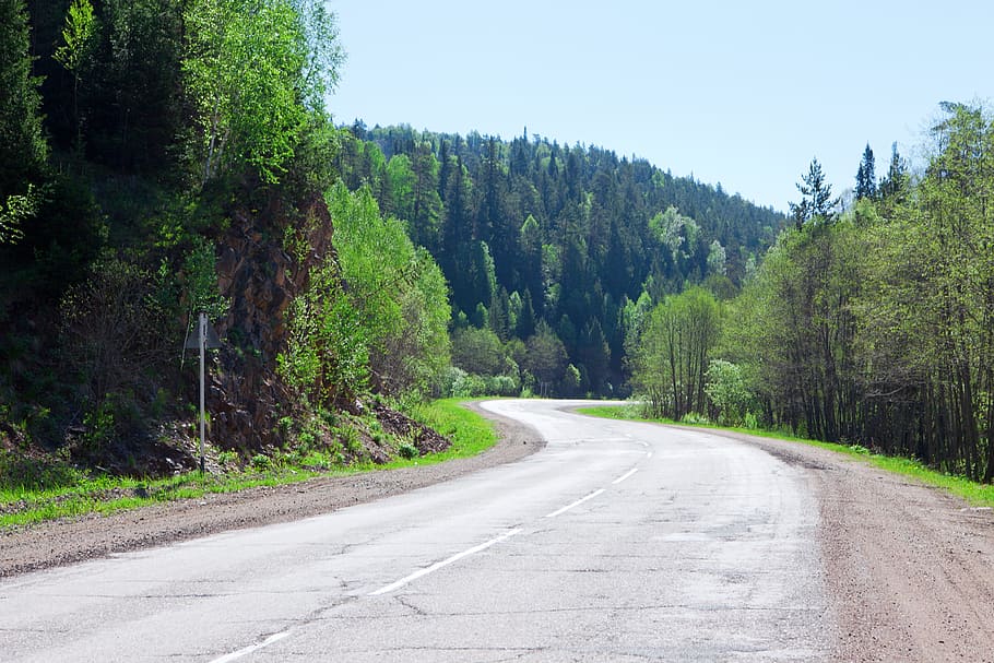 road, asphalt, forest, sky, russia, outdoor, tree, nobody, green HD wallpaper