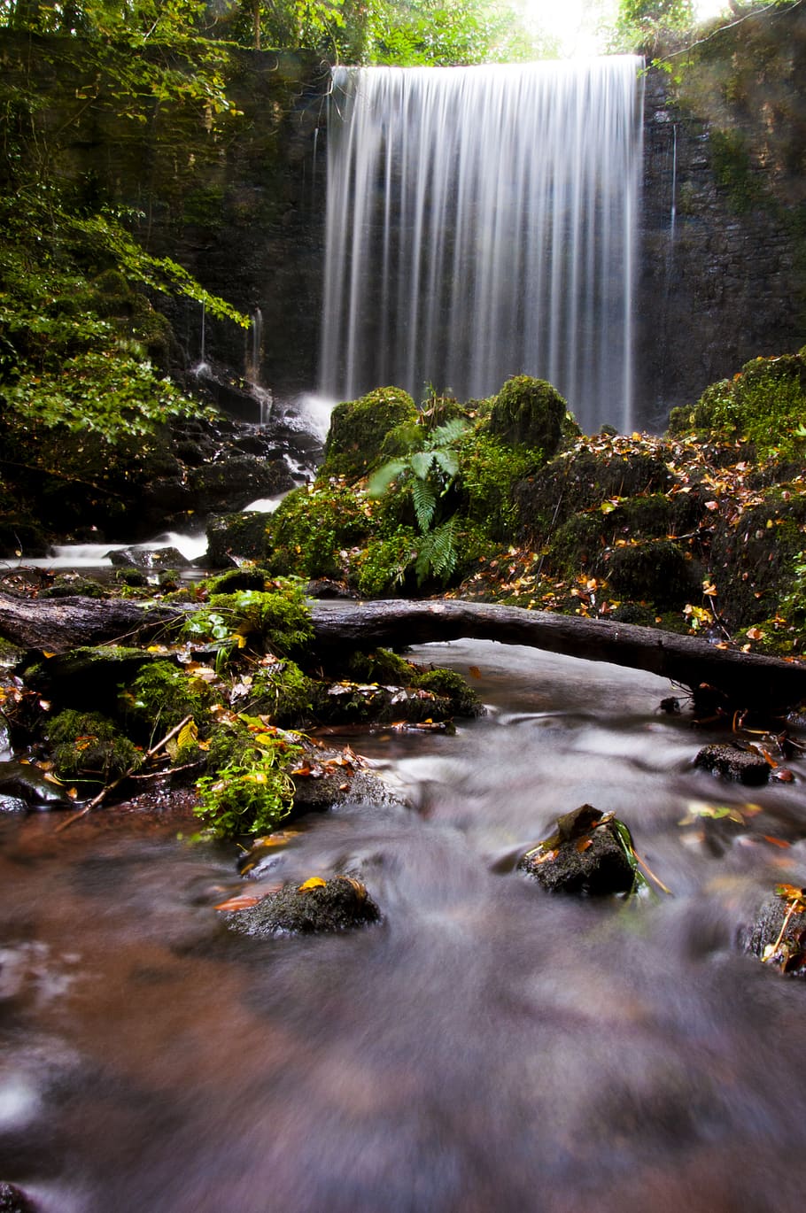 Waterfalls And Green Leafed Trees, cascade, flow, moss, motion HD wallpaper