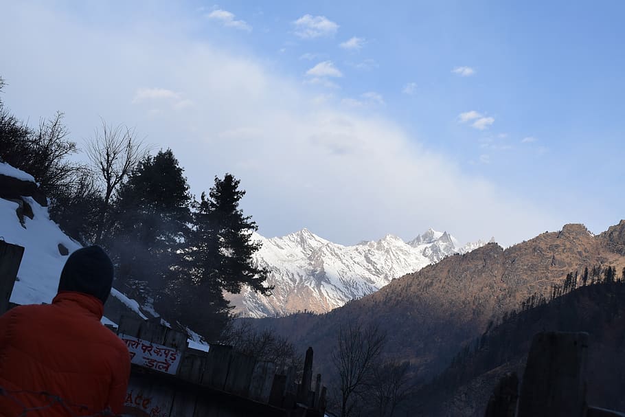 trees, mountains, snowfall, nature, sky, cold temperature, scenics - nature HD wallpaper