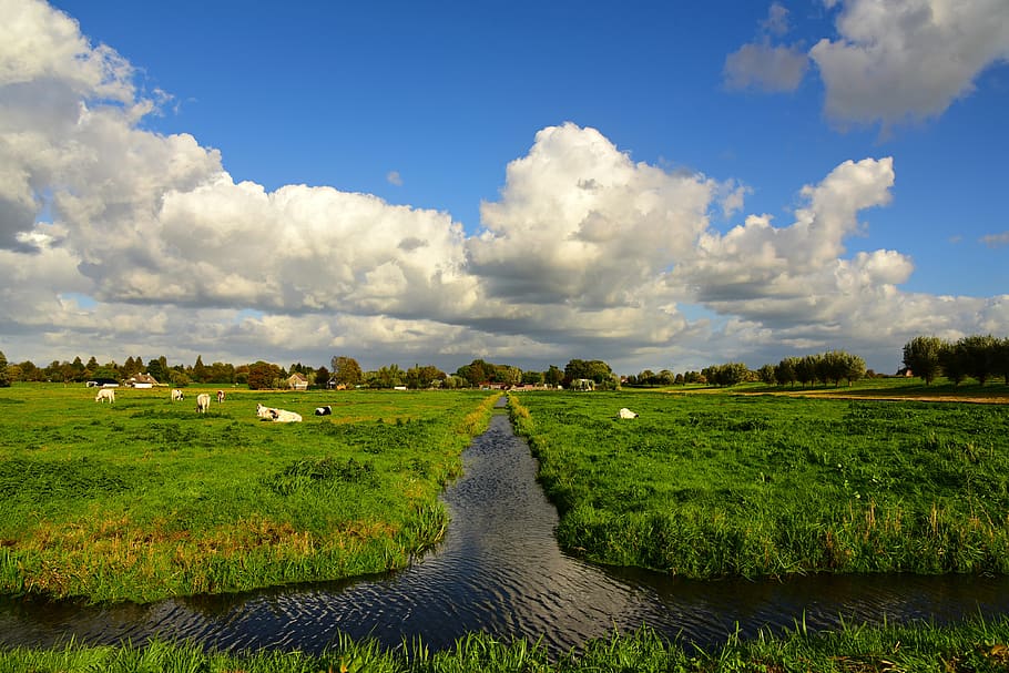 ditch, meadow, field, polder, dutch landscape, skies, cumulus clouds HD wallpaper
