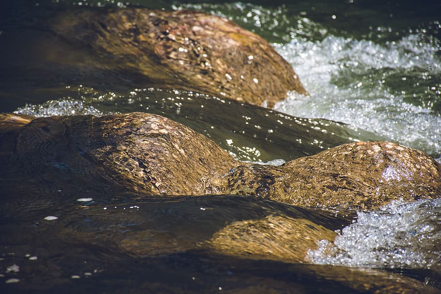 River Stream, daylight, flow, nature, rocks, scenic, stones, water HD wallpaper