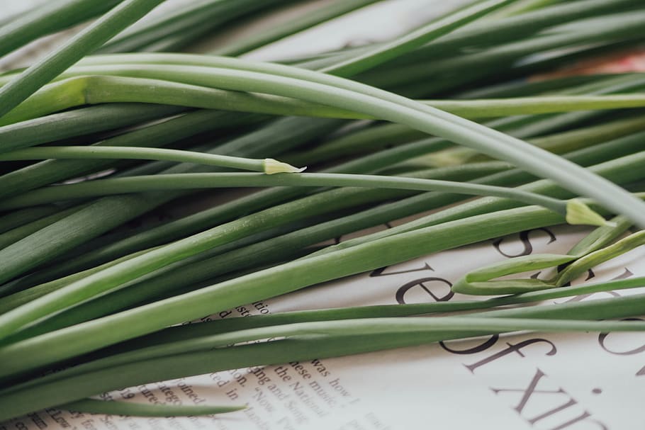 green plants, produce, food, vegetable, leek, onion, shallot HD wallpaper