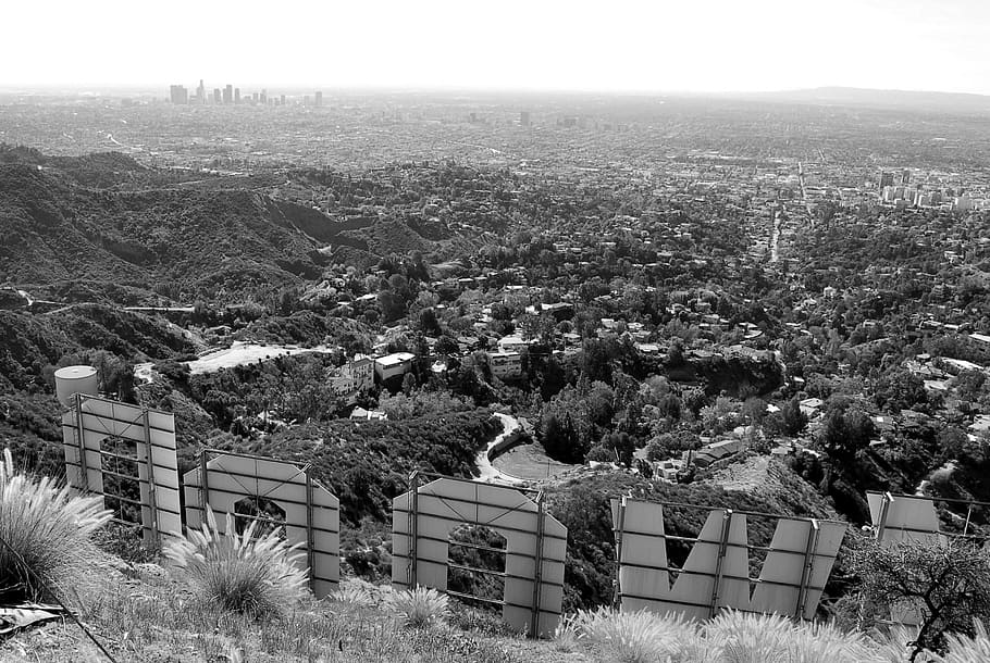 los angeles, hollywood sign, united states, view, black and white