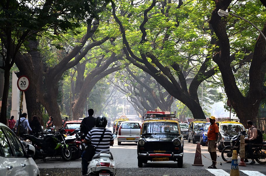 india, mumbai, tree, mode of transportation, plant, land vehicle, HD wallpaper