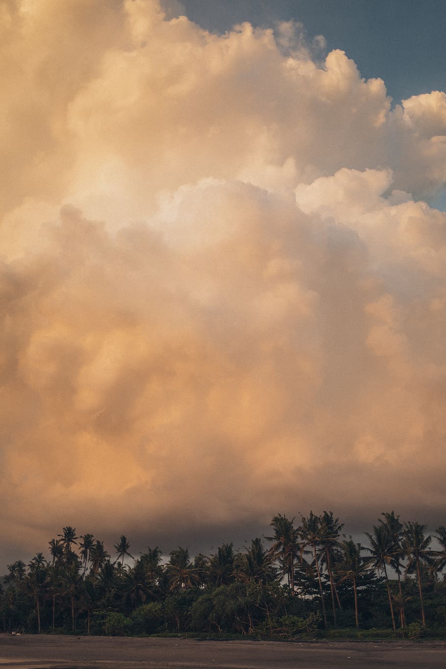 Cloudy Sky, clouds, dawn, cloud - sky, tree, plant, beauty in nature HD wallpaper