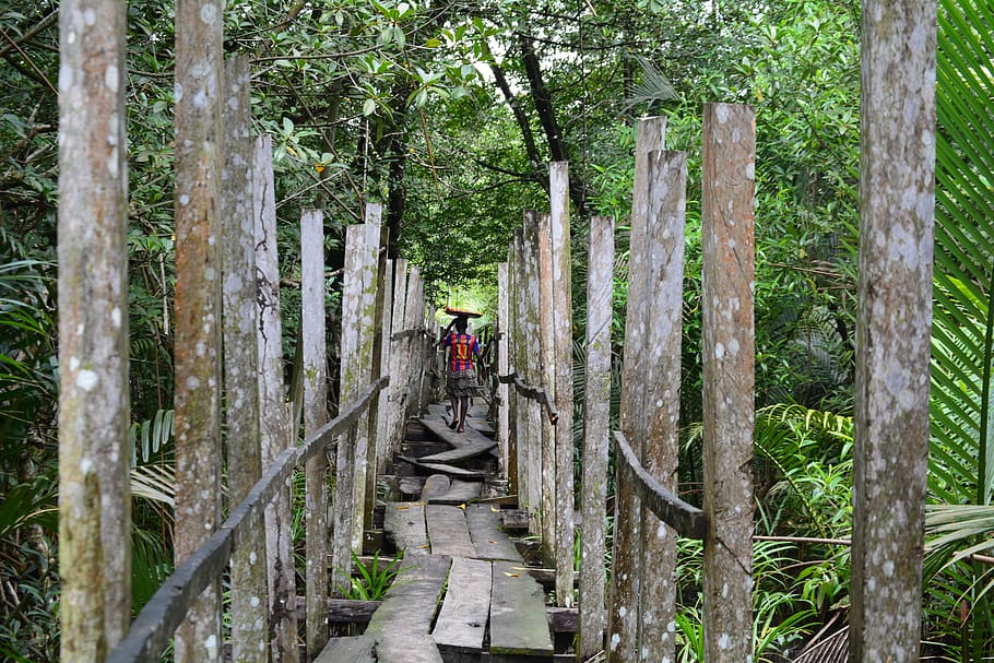 cameroon, manoka reserve, cameroun, wood, commerce, nature, HD wallpaper