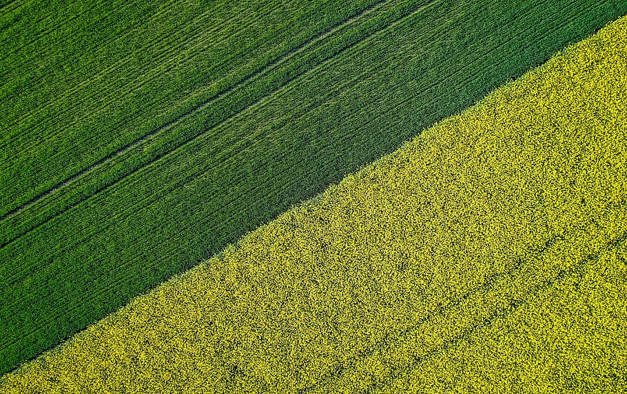 green grass lawn, green color, agriculture, landscape, rural scene HD wallpaper
