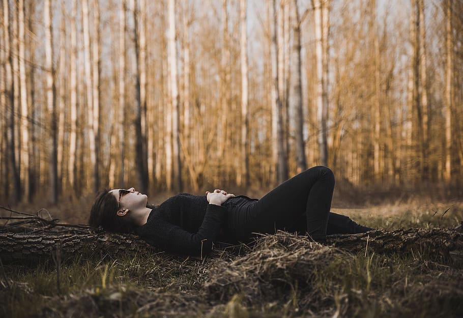 Woman Lying on the Ground Surrounded by Bare Trees, daylight HD wallpaper