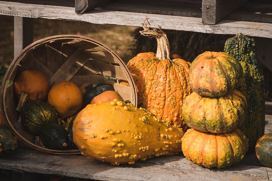 three red squash vegetables, produce, food, flora, plant, gourd HD wallpaper