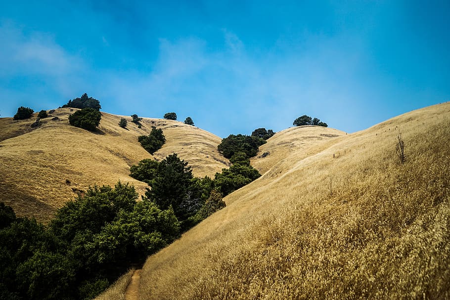 brown and green hill, mount tamalpais, united states, mountain, HD wallpaper