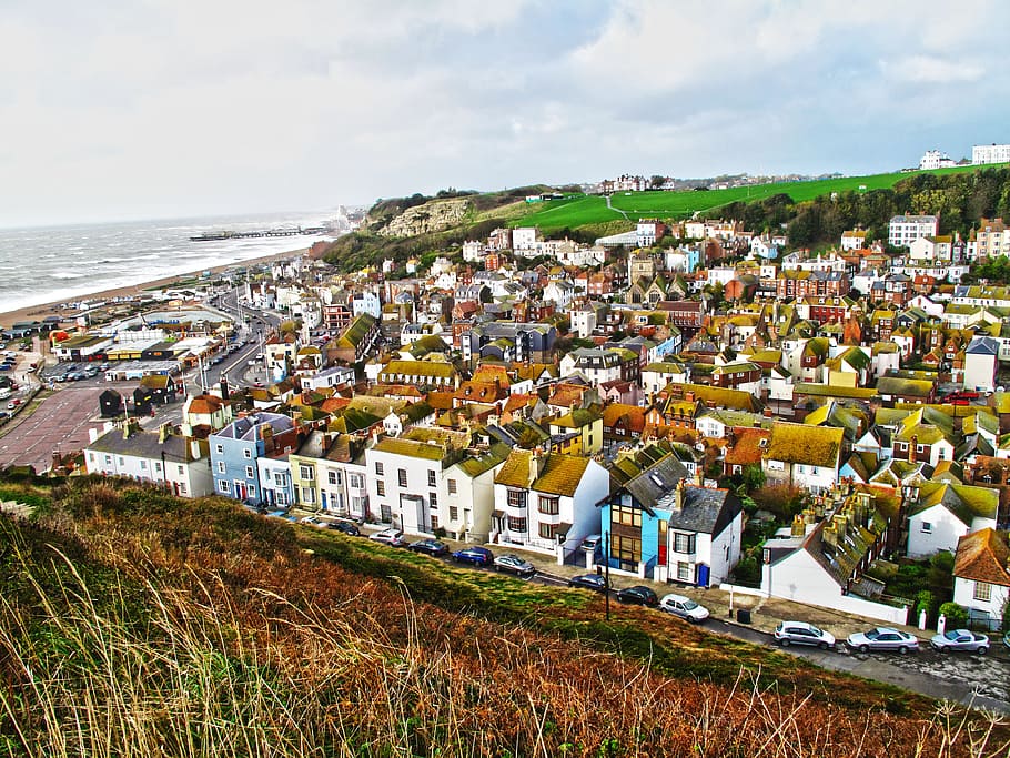 Aerial Photography of Brown Roofed Houses Near Sea, buildings HD wallpaper