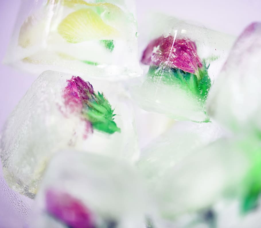 abstract, background, beautiful, closeup, cold, colorful, cool HD wallpaper