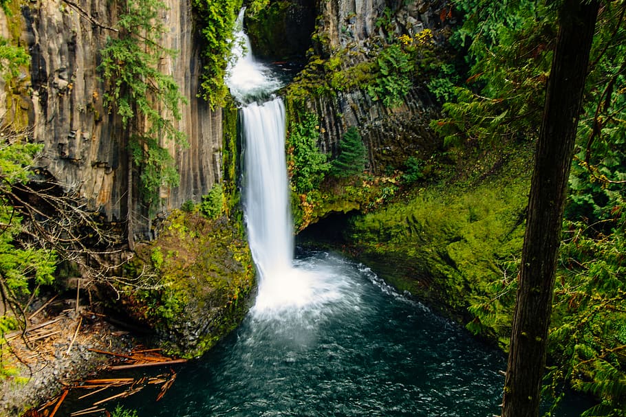 Водопад ю. Водопад цветы. Узбекистан природа водопад. Umpqua Falls. Водопад и цветы фото.