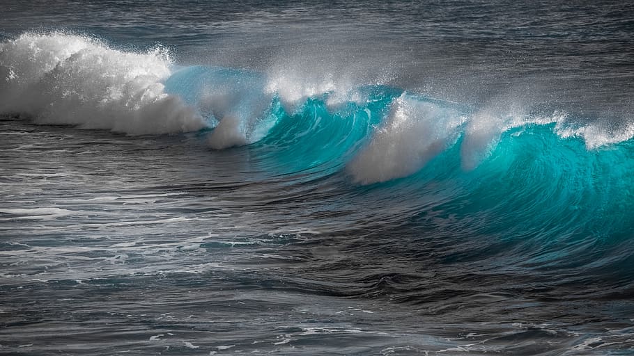 wave, water, surf, ocean, sea, spray, wind, motion, swirl, splash HD wallpaper