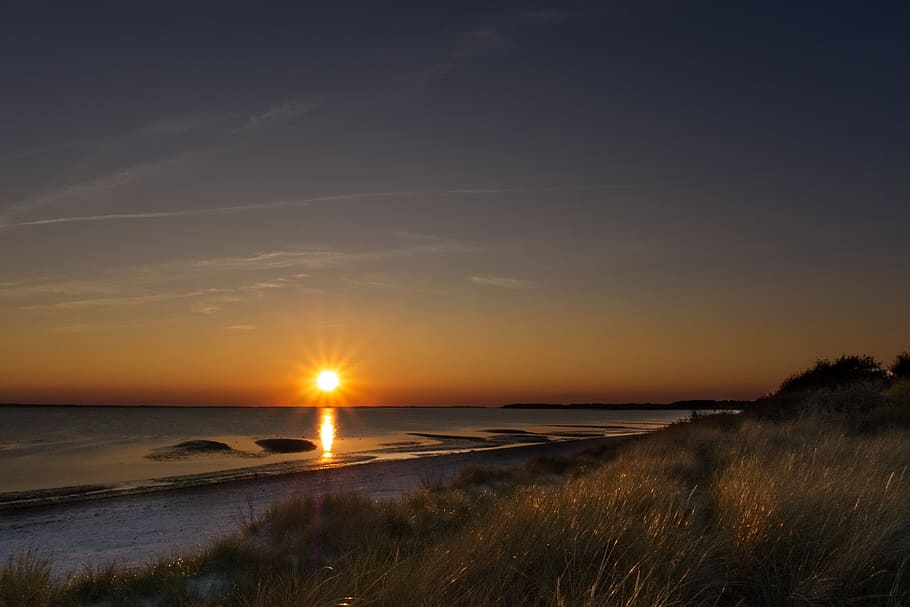 sunset, sky, night, clouds, twilight, evening, mood, sea, reed HD wallpaper