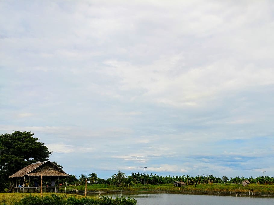 philippines, bacolod, cloud - sky, built structure, plant, tree HD wallpaper