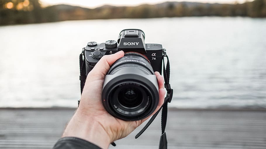 selective focus photo of person holding black Sony Alpha camera, HD wallpaper