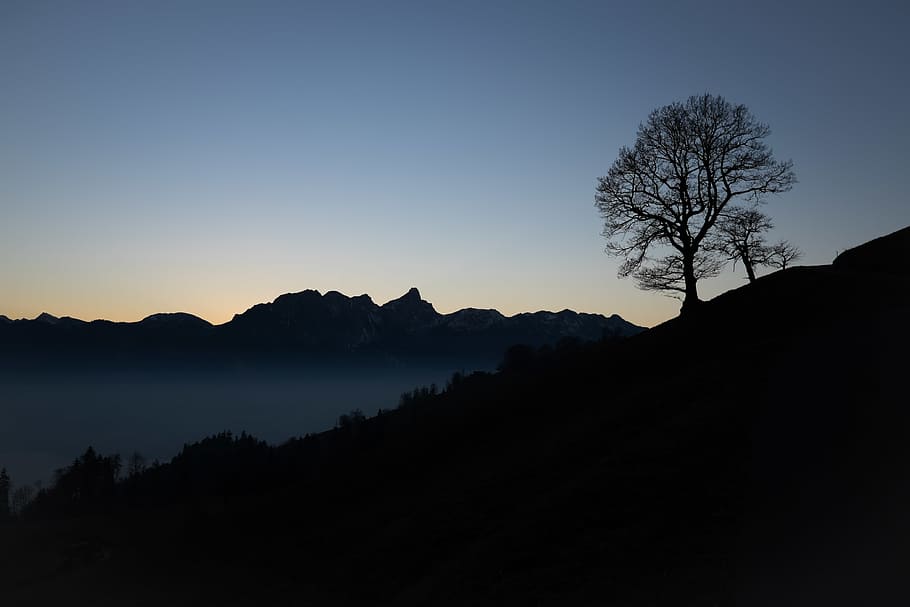 mountains, switzerland, tree, night, silhouette, sky, tranquility HD wallpaper