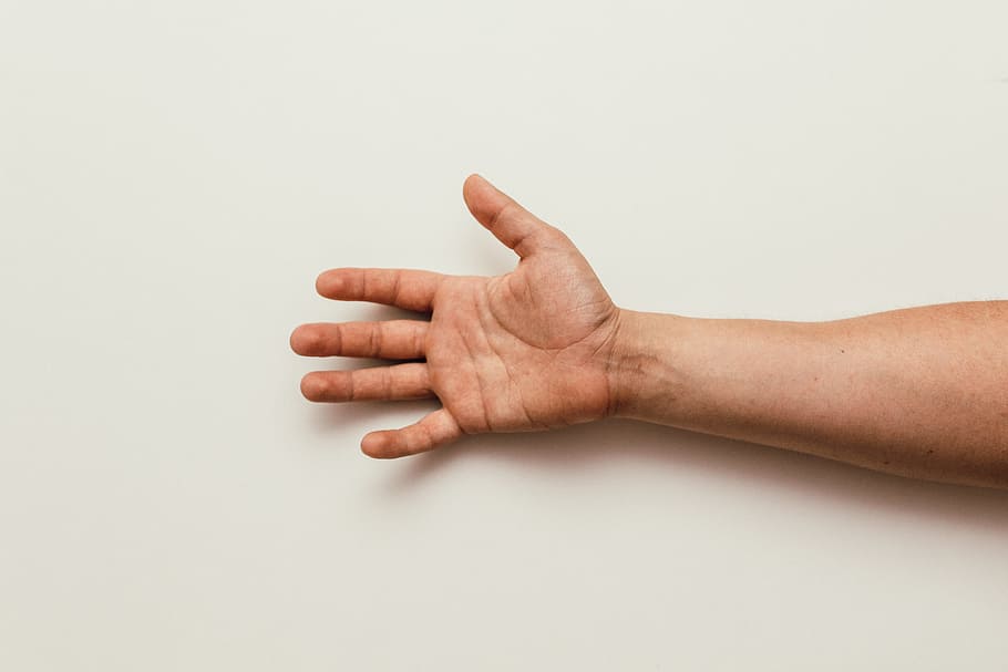 Person's Right Hand, arm, fingers, man, palm, palm (hand), human hand