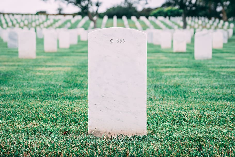 graveyard with stones, memorial, grass, tombstone, plant, cemetery HD wallpaper
